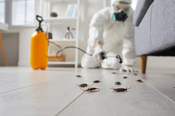 Post-Treatment Bed Bug Interceptor Monitoring in Vega